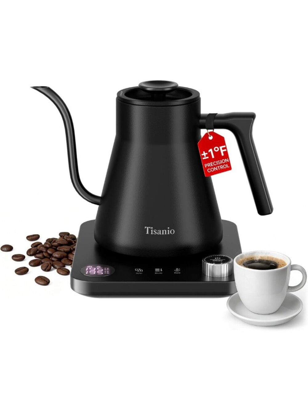 Precision Gooseneck Electric Kettle with Temperature Control, 0.9L, Black Finish